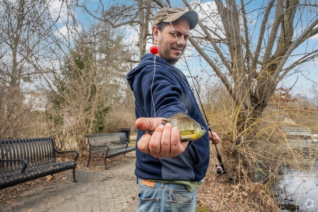 Drop a line for sunfish at the Tanglewood Preserve in Lakeview.