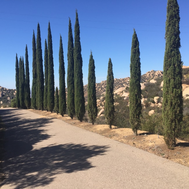 18988 Via Pamela, Jamul, CA 91935 - photo 3