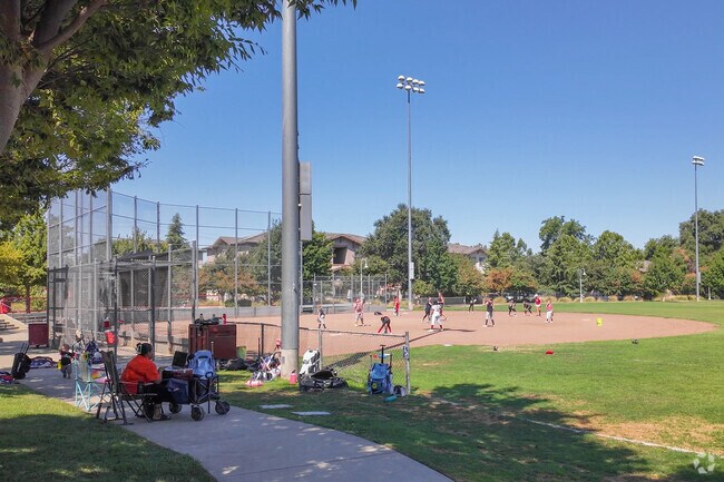 Frolicking joy in DeGarmo Park's open fields is where laughter dances with the breeze in Chico.