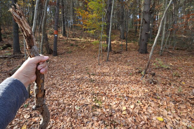 Hike the trails at Hunsley Hills in Rowley.