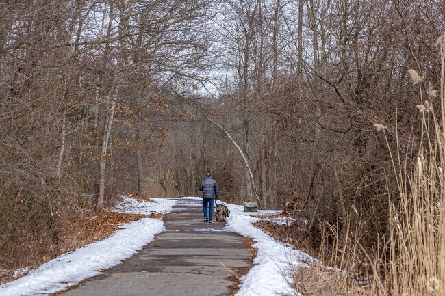 Randolph Dog Park in North Randolph is the perfect outdoor space for your pets.
