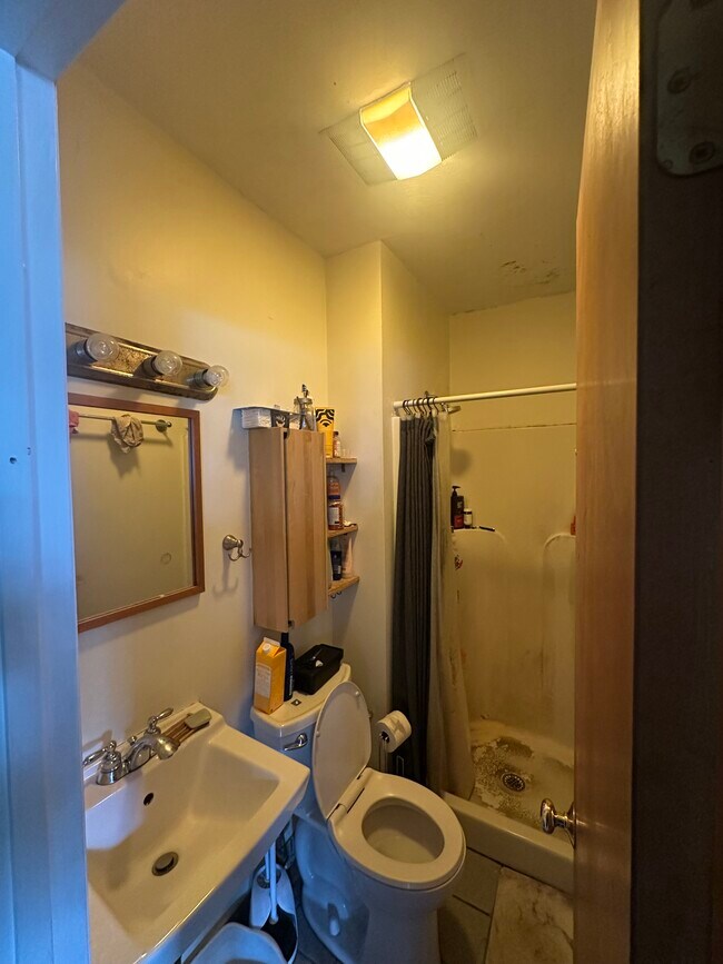 8 Newton St unit 8, Brighton, MA 02135 - photo 4