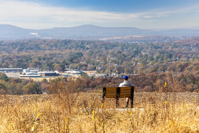 Take a stroll around Blevins Gap Nature Preserve and have a rest on one of the benches.
