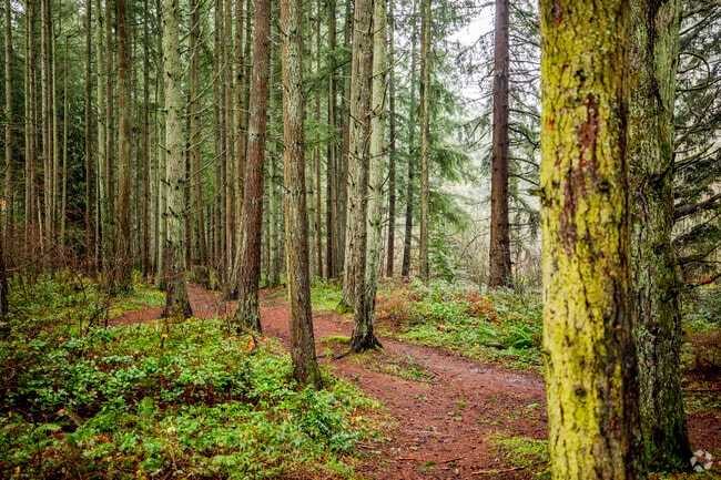 Orangegate Park near Clover Creek features wooded trails for hiking.