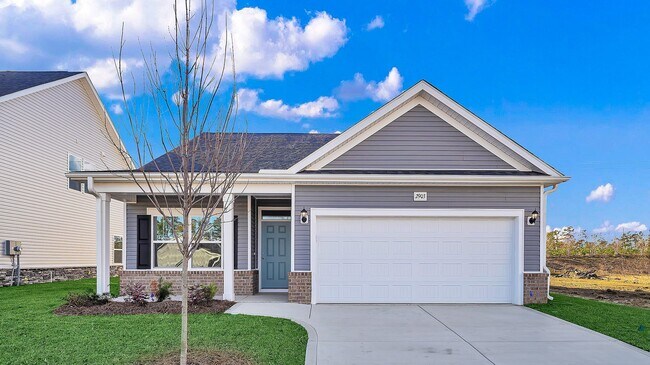 3029 Spain Ln unit 36482605, Conway, SC 29527 - photo 4