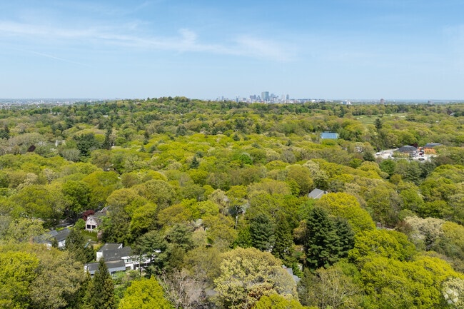 Just a few miles from Boston, the streets of South Brookline hide under a sea of green.