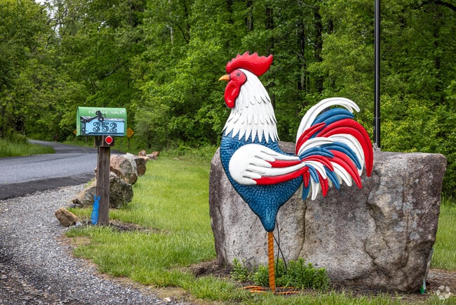 A charming and patriotic model cockerel perches beside a rustic mailbox, adding a touch of country whimsy to the quiet streets of Bethlehem, NJ.