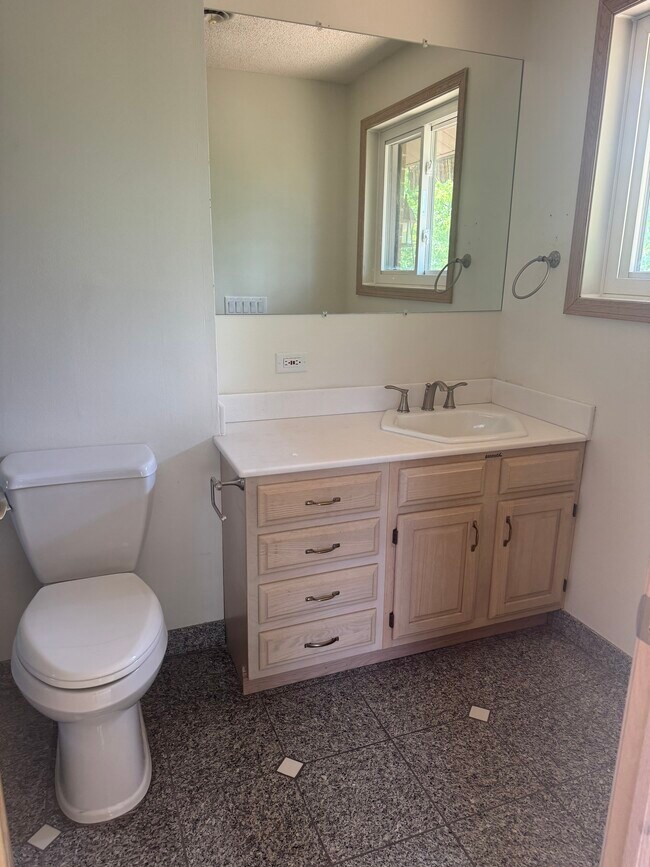 Master Vanity