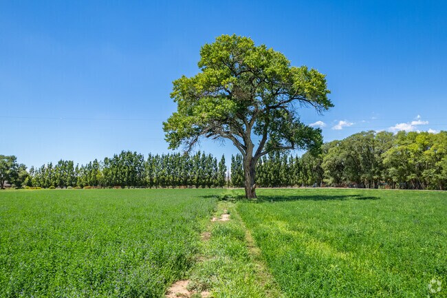 Embrace nature's expanse in Pajarito's open spaces.