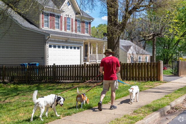Enjoy a stroll throughout the neighborhood with your furry friends in Pimmit Hills.