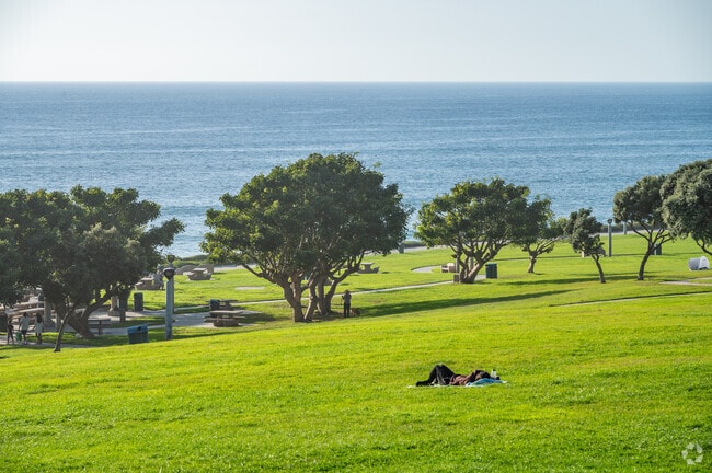 Salt Creek Beach Bluff Park has green spaces to soak in the sun and enjoy the views.