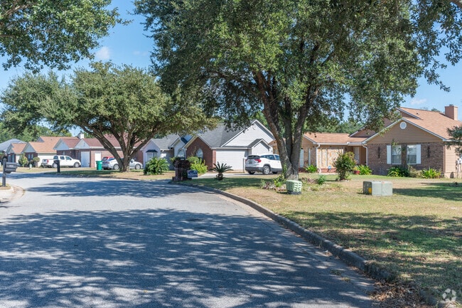 Dixie Heights teems with vintage midcentury homes.