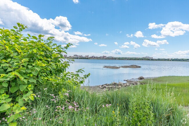 Enjoy the gorgeous views of the cove along the Back Cove Trail.