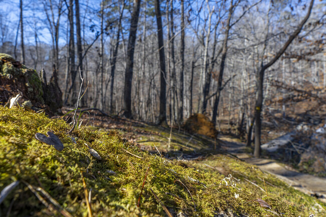 The beautiful natural surroundings are valued and part of daily life for Kings Mountain residents.