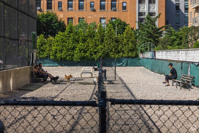 Main area close up with dogs