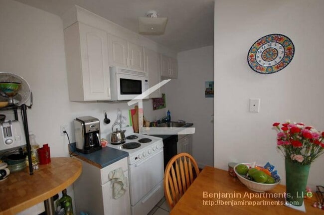 6 Shepherd Ave unit 1, Boston, MA 02115 - photo 3