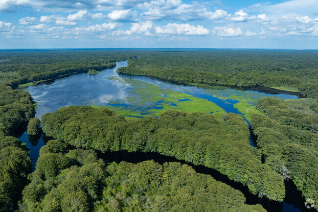 The Withlacoochee River flows through the heart of Wahoo.