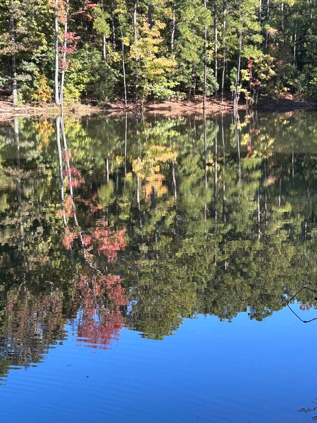 358 Skinner Rd, MacOn-bibb, GA 31211 - photo 7