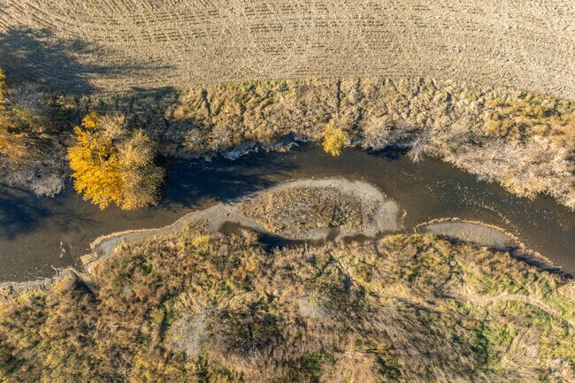 Kishwaukee River flows past Pioneer Park Disc Golf Course in Kirkland.