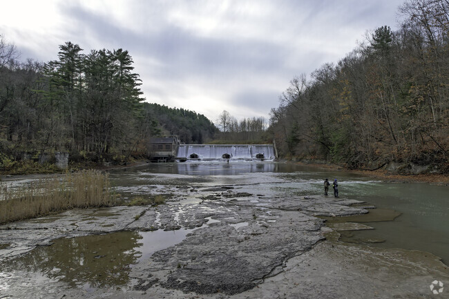 Scoby Dam Park is a linear strip of land along Cattaraugus Creek and is a mecca for fishing.