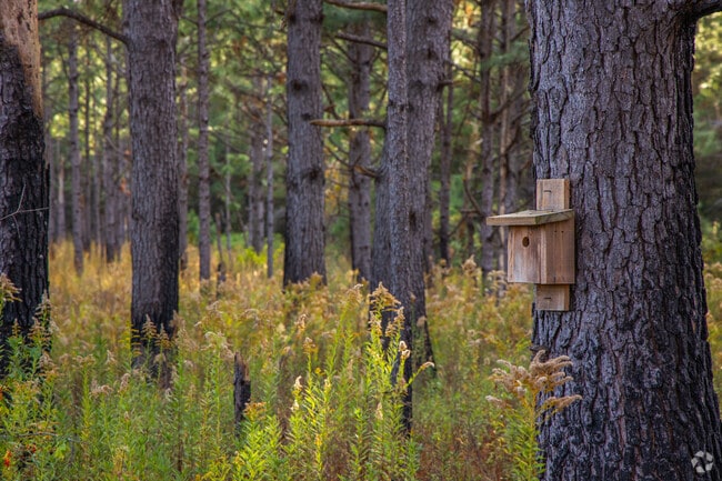 Nature lovers will enjoy the sights and sounds on the trails just a short drive from Mooncrest.