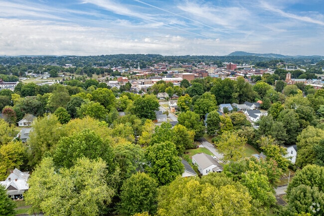 Johnson City is filled with old growth trees just to the south of downtown.