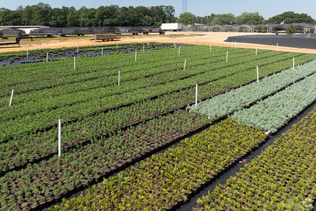 Local nurseries span over large acreage in Big Creek.