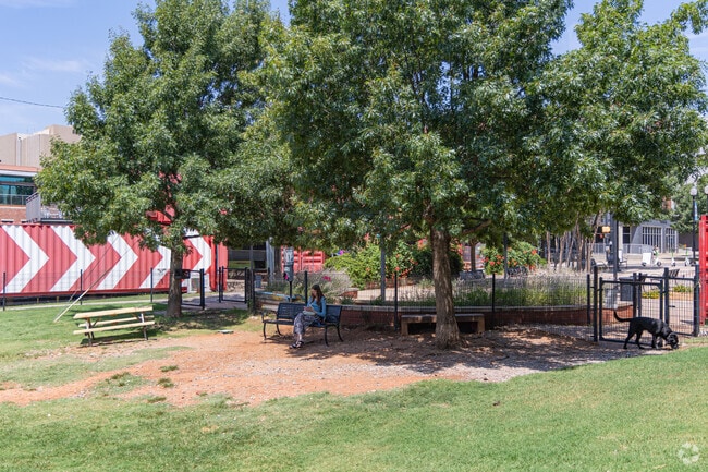 Residents relax with dogs at Deep Deuce Dog Park.