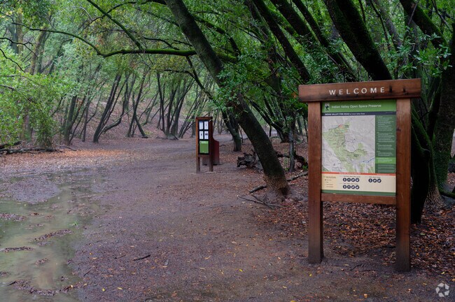 Indian Valley Open Space Preserve offers beautiful hiking trails in Midwest Novato.