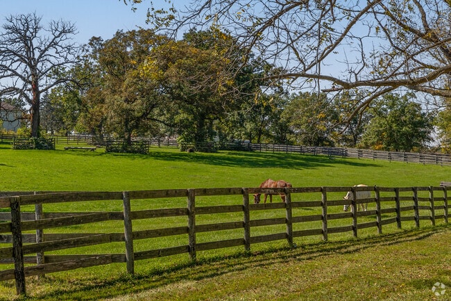 Horses graze the pasture at Campton Hills Equestrian Center in Far West Elgin.