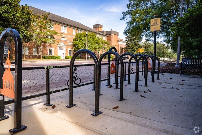 Bike riders frequently share the road with traffic in downtown Tallahassee.