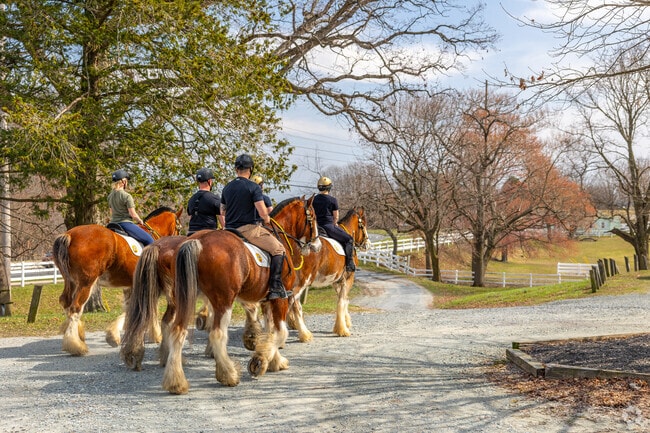 The Carousel Park Equestrian Center holds classes and tours around the Park in Pike Creek.