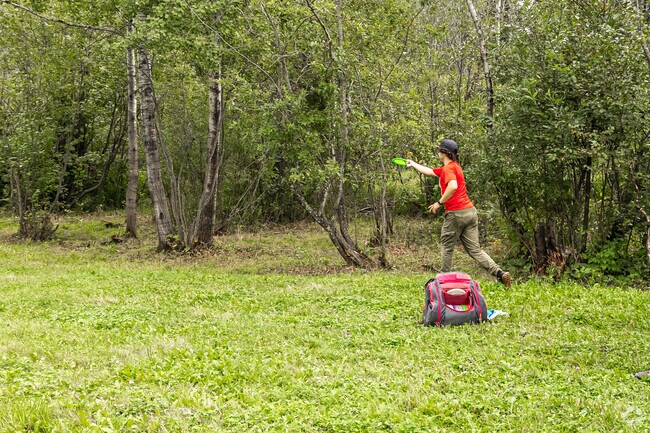 Aiming for the disc golf basket at the Superior Municipal Disc Golf Course.