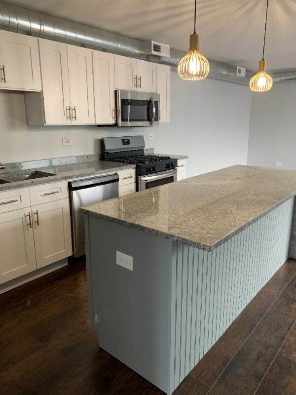 2945 W Peterson Ave unit 200, Chicago, IL 60659 - photo 5