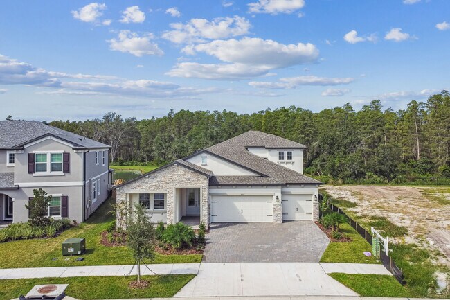 31215 Hayman Loop, Wesley Chapel, FL 33545 - photo 3
