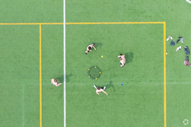 There are wonderful outdoor activities you can be a part of throughout this neighborhood.