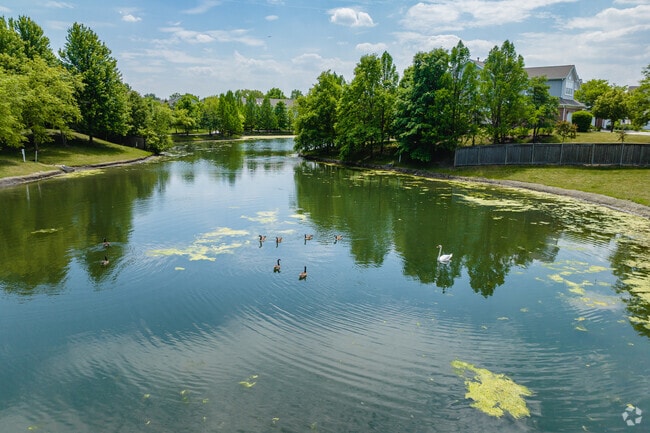 Watch local wildlife thrive at one of the many neighborhood ponds and parks of South Schaumburg.