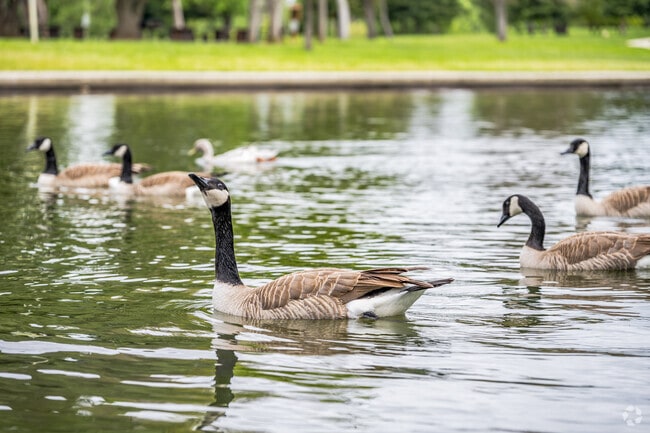 There is plenty of wildlife to enjoy at Hagan Community Park.