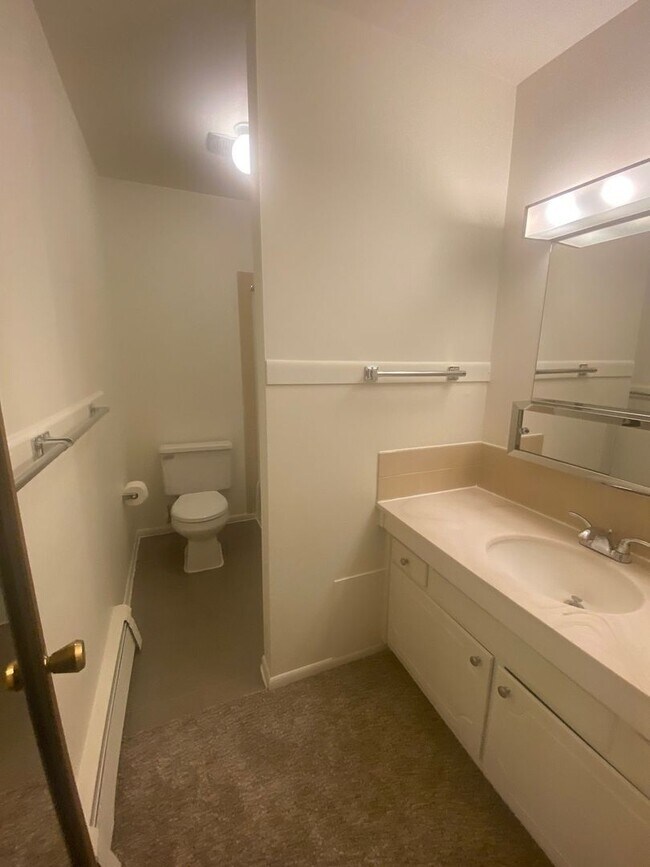 Carriage Park Apartments (Carriage Park Investors LLC), Hillsdale, MI 49242 - photo 7