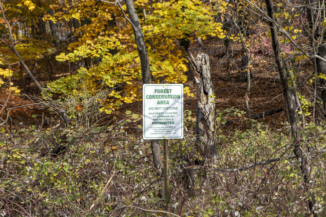 Carroll-South Hilton is boarded by a forest conservation area giving it a quiet serene vibe.
