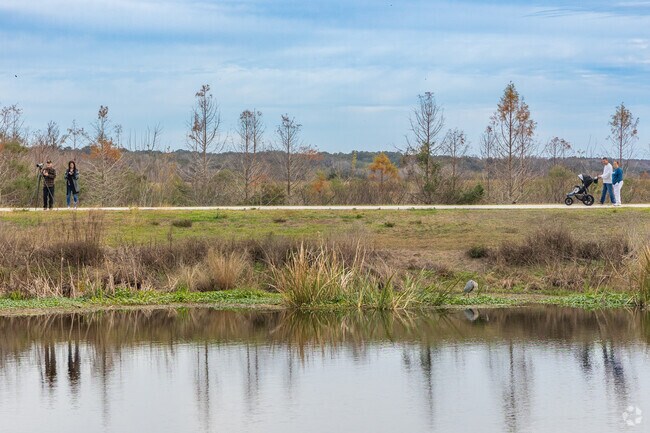 Gainesville's Sweetwater Wetlands Park has nearly 4 miles of trails and boardwalks where residents can bird watch and spot wildlife.