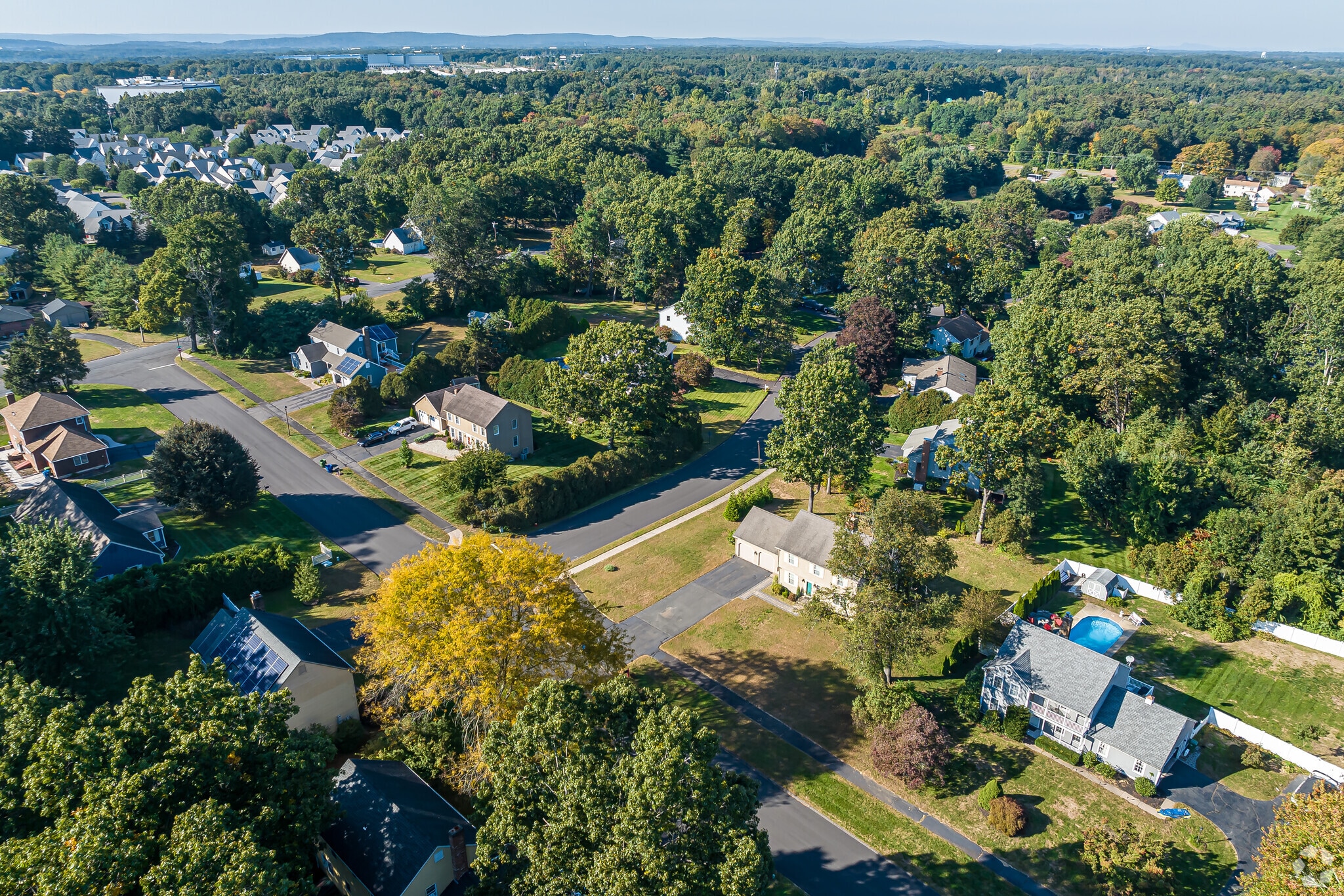 Homes in Hayden are often found in newer development areas.