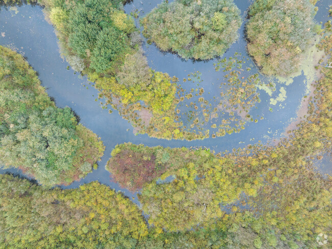 Curtain Creek offers a space for biodiversity in Orchards-Area.