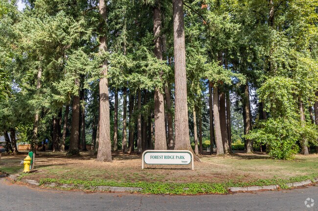 Forest Ridge Park like the rest of the Forest Ridge neighborhood is filled with giant Fir Trees.