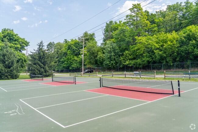 Pickleball courts are a popular amenity at Temple Playground.
