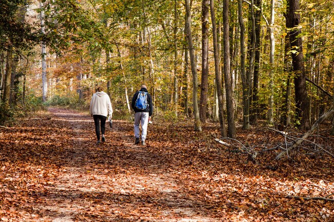 Embark on an unforgettable hiking adventure in Bryans Road.