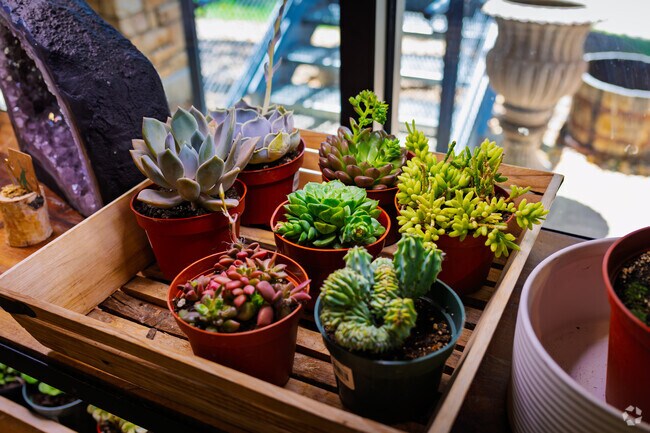 Shop for handmade gifts and plants at Nellybelle General Store near Evergreen.