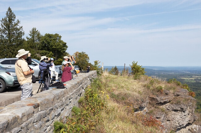 Thacher Park’s Heidelberg Escarpment offers scenic views and top bird-watching trails.