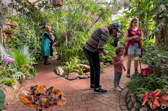 Near Cabrini, Butterfly Magic at Tucson Botanical Gardens is magical for all ages.