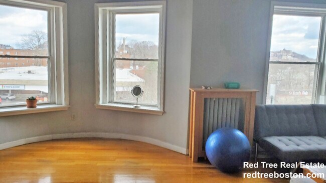 154 Harvard St, Brookline, MA 02446 - photo 4